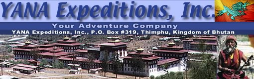 YANA Travel