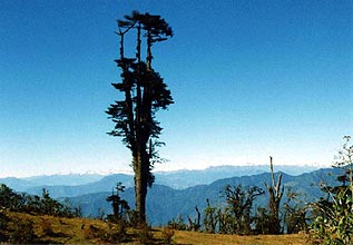 Eastern Himalayas