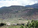 Fields Punakha