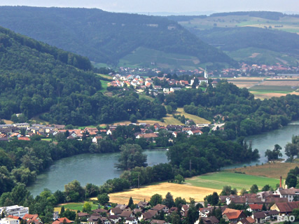 Vorderrein