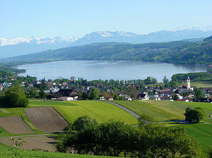 Hallwilersee