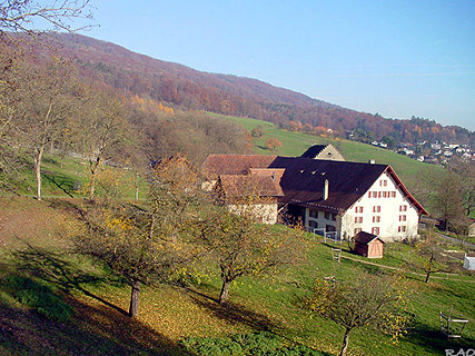 Chestenberg