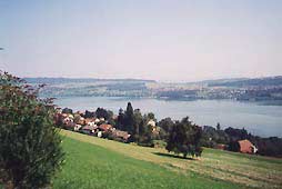 Hallwilersee