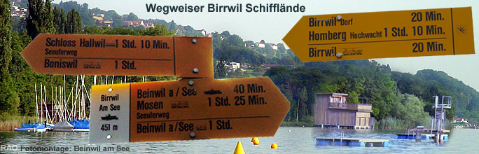 Hallwilersee Info