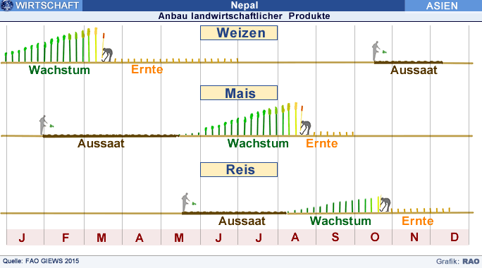 Grafik