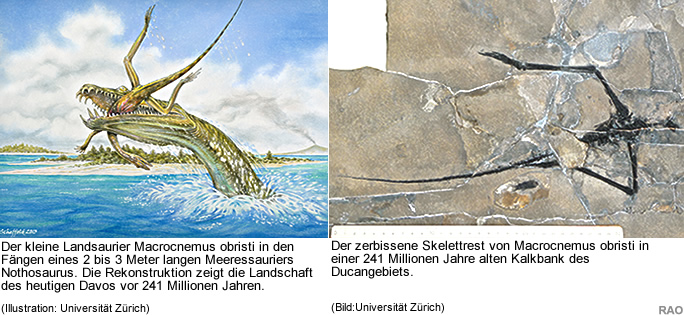 Grafik