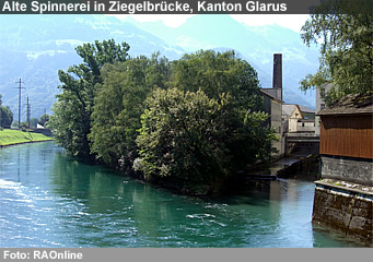 Im Jahr 2006 richteten Überschwemmungen, Murgänge, Rutschungen und Felsbewegungen in der Schweiz insgesamt rund 75 Millionen Franken Schäden an. Verglichen mit der durchschnittlichen Schadensumme der Jahre 1972 bis 2005, die teuerungsbereinigt etwa 350