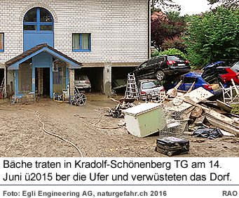 Im Jahr 2006 richteten Überschwemmungen, Murgänge, Rutschungen und Felsbewegungen in der Schweiz insgesamt rund 75 Millionen Franken Schäden an. Verglichen mit der durchschnittlichen Schadensumme der Jahre 1972 bis 2005, die teuerungsbereinigt etwa 350 