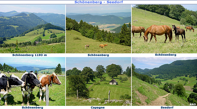 Mittelland Jura