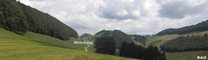 Scheltenpass - Schoenenberg - Mieschegg - Scheltenpass