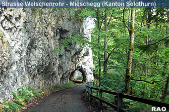Scheltenpass - Schoenenberg - Mieschegg - Scheltenpass