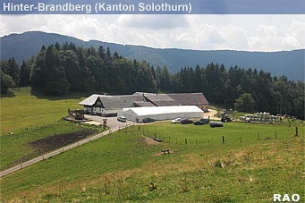 Scheltenpass - Schoenenberg - Mieschegg - Scheltenpass