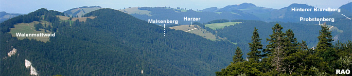 Mieschegg