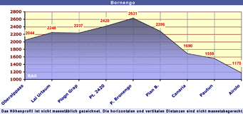 Bornengo