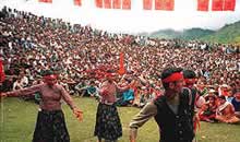 Cultural programme