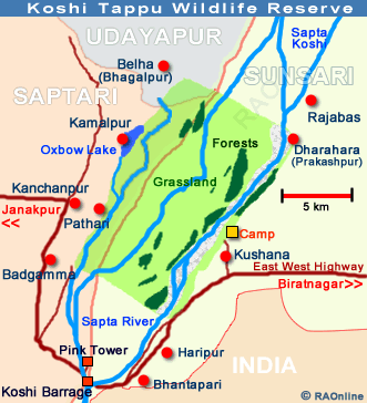 Koshi Tappu