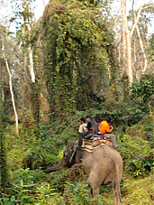 Chitwan
