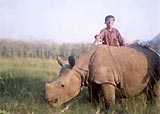Rhino