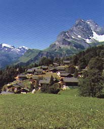 Braunwald