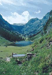 Fronalp