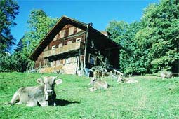 Braunwald GL