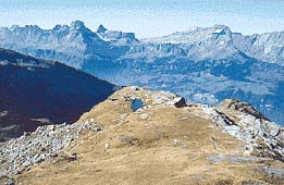 Braunwald