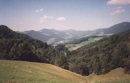 Muemliswil