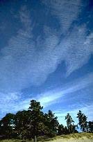 Cirrocumulus