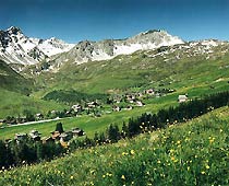 Arosa