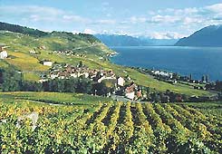 Lavaux VD