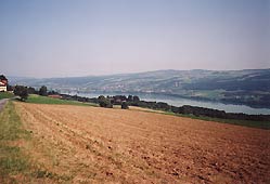Baldeggersee