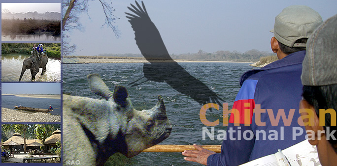 Chitwan National Park